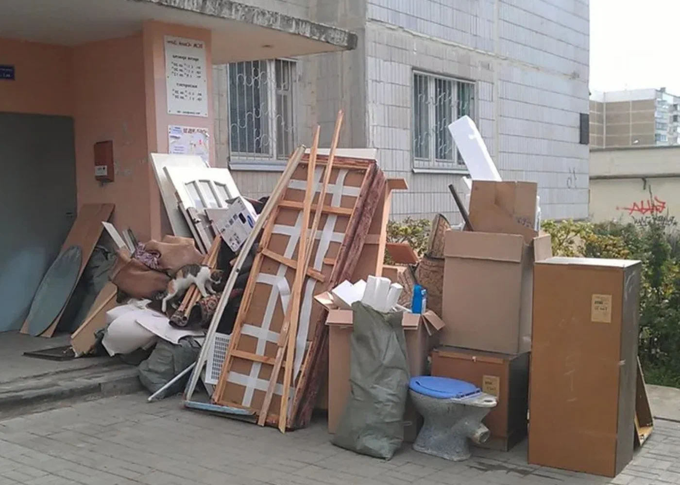 Профессиональный вывоз мусора из квартиры в Мценске в октябре
