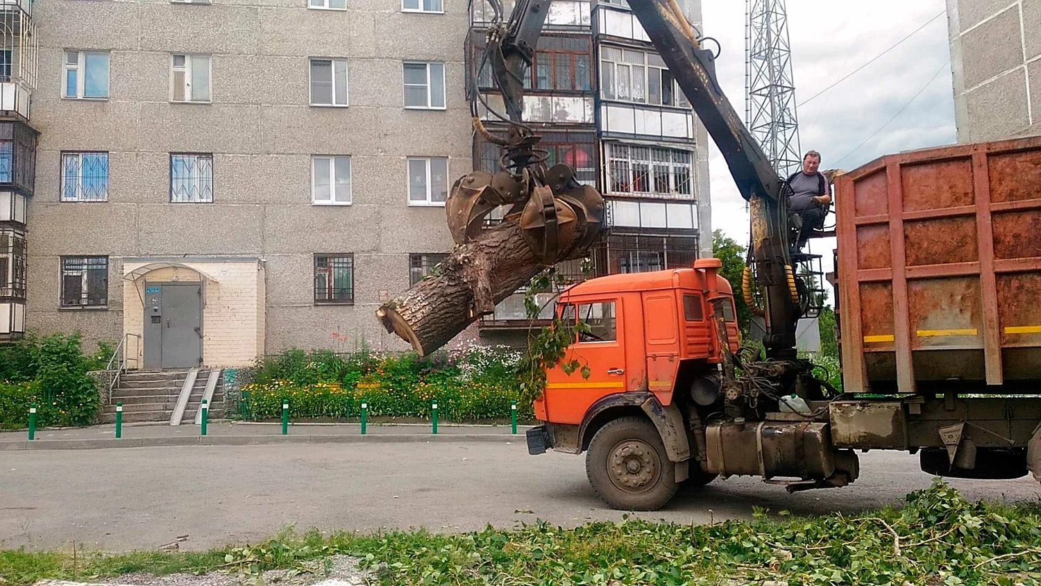 Вывоз спиленных веток и деревьев в Мценске от ПроМусор: порубочные остатки, утилизация, цена от 2937 руб