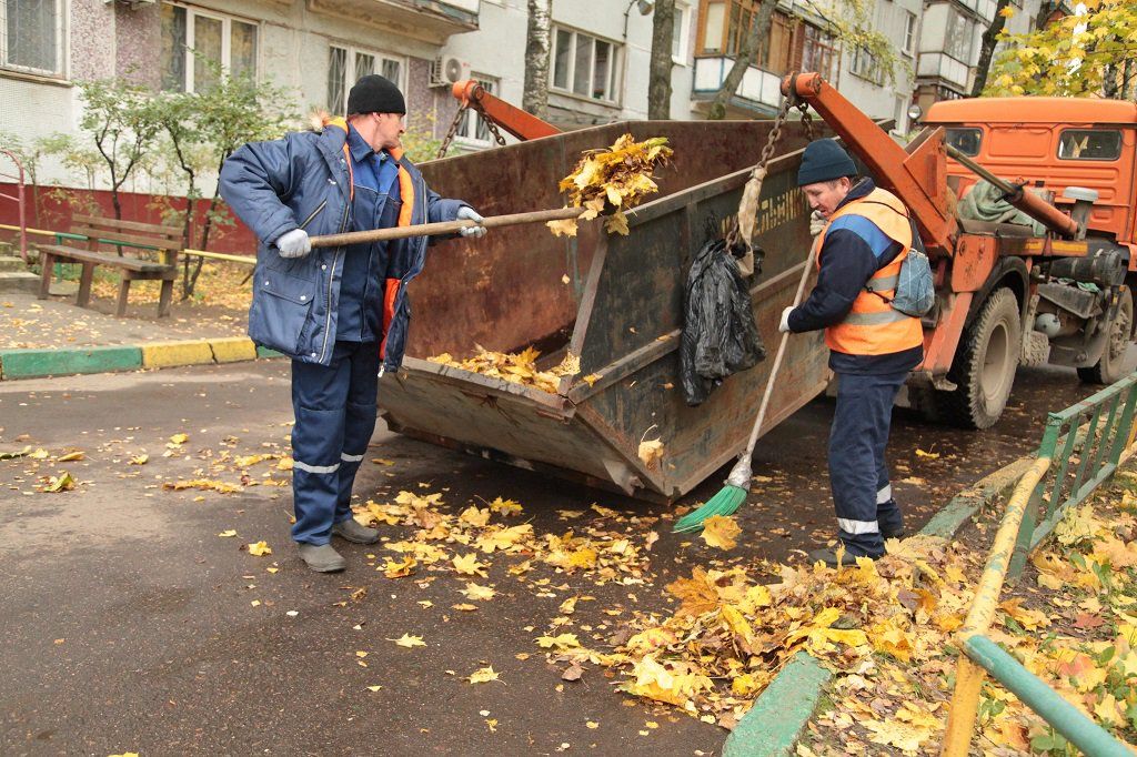 Вывоз опавшей листвы и растительного мусора в Мценске от ПроМусор – цена от 4557 руб., быстрая уборка и утилизация